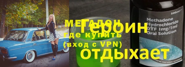 индика Гусиноозёрск